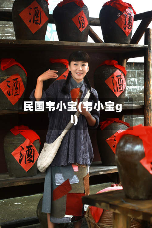 民国韦小宝(韦小宝gl)