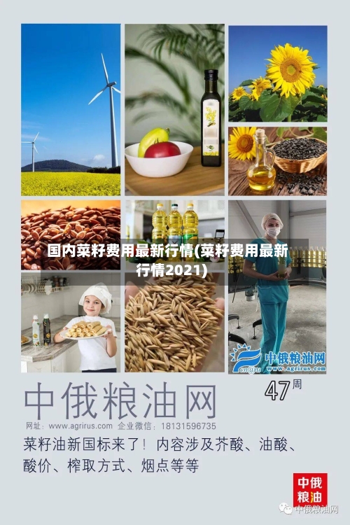 国内菜籽费用最新行情(菜籽费用最新行情2021)-第2张图片
