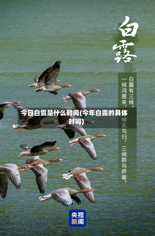 今日白露是什么时间(今年白露的具体时间)