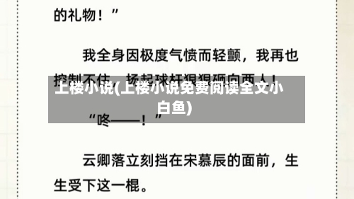 上楼小说(上楼小说免费阅读全文小白鱼)