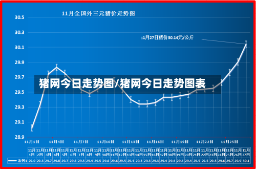 猪网今日走势图/猪网今日走势图表