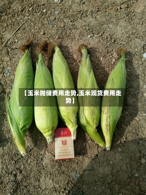 【玉米抛储费用走势,玉米现货费用走势】