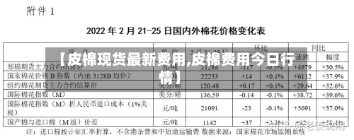 【皮棉现货最新费用,皮棉费用今日行情】-第2张图片