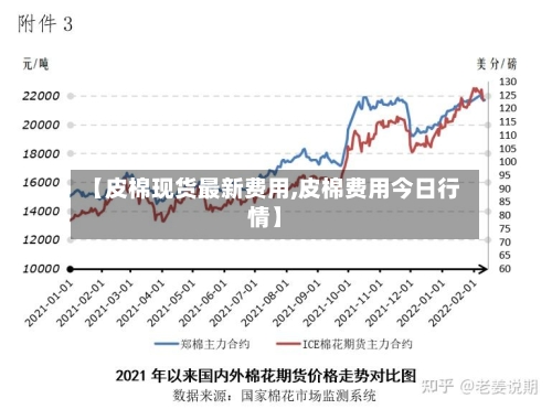 【皮棉现货最新费用,皮棉费用今日行情】