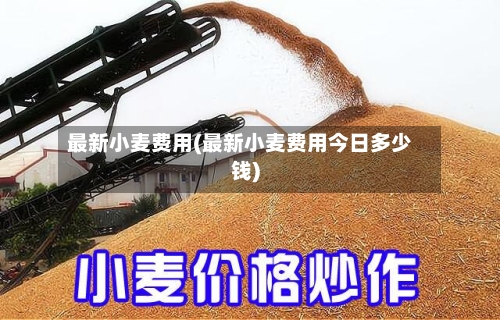 最新小麦费用(最新小麦费用今日多少钱)-第2张图片