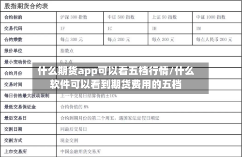 什么期货app可以看五档行情/什么软件可以看到期货费用的五档