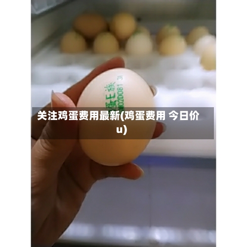 关注鸡蛋费用最新(鸡蛋费用 今日价u)-第3张图片