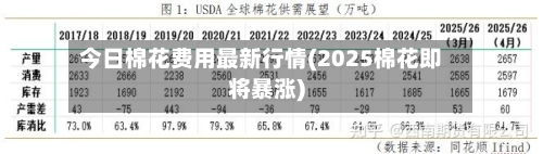 今日棉花费用最新行情(2025棉花即将暴涨)-第3张图片