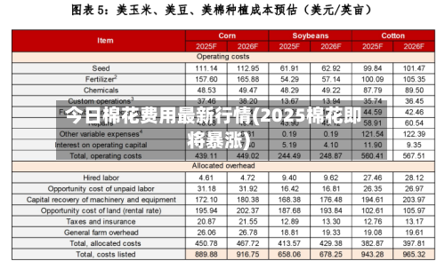 今日棉花费用最新行情(2025棉花即将暴涨)