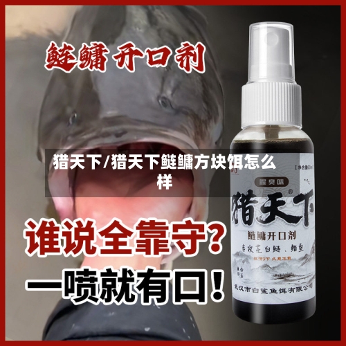 猎天下/猎天下鲢鳙方块饵怎么样