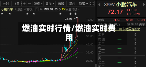 燃油实时行情/燃油实时费用