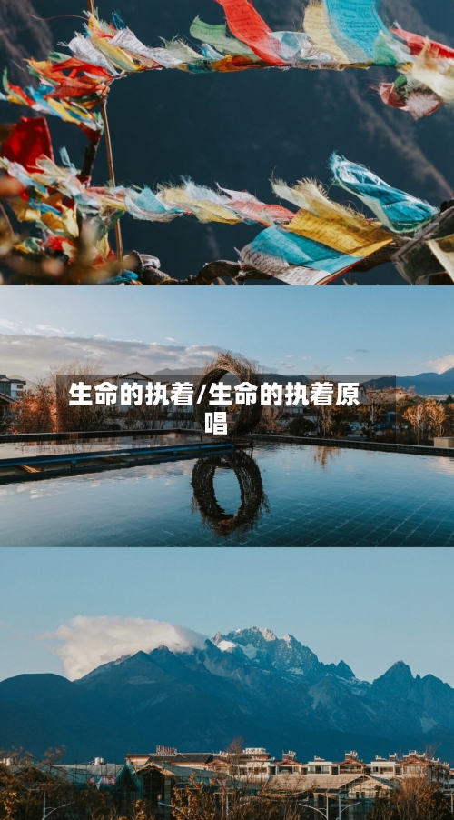生命的执着/生命的执着原唱