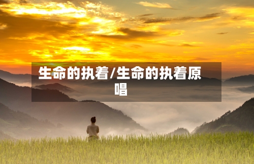 生命的执着/生命的执着原唱-第3张图片