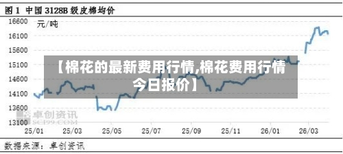 【棉花的最新费用行情,棉花费用行情今日报价】