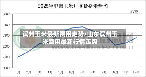 滨州玉米最新费用走势/山东滨州玉米费用最新行情走势