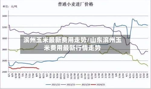滨州玉米最新费用走势/山东滨州玉米费用最新行情走势-第3张图片