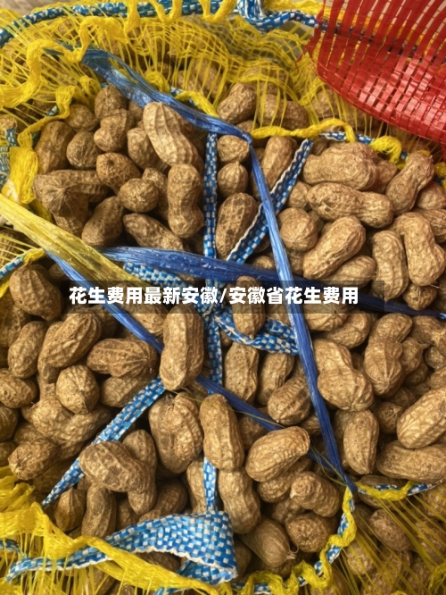 花生费用最新安徽/安徽省花生费用-第3张图片