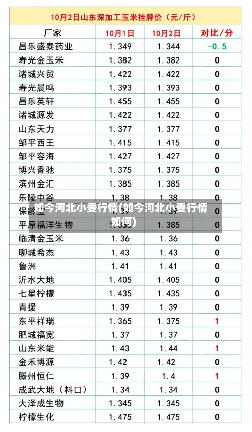 如今河北小麦行情(如今河北小麦行情如何)