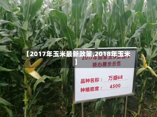 【2017年玉米最新政策,2018年玉米】-第3张图片