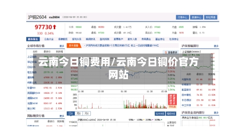 云南今日铜费用/云南今日铜价官方网站