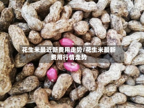 花生米最近新费用走势/花生米最新费用行情走势