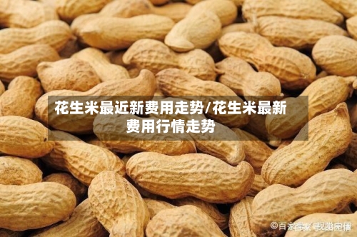 花生米最近新费用走势/花生米最新费用行情走势-第3张图片