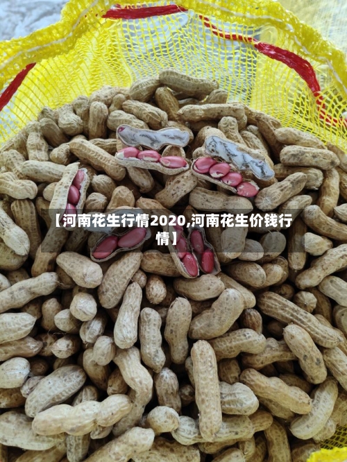 【河南花生行情2020,河南花生价钱行情】-第2张图片
