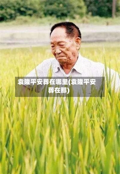 袁隆平安葬在哪里(袁隆平安葬在那)
