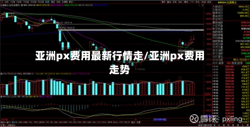 亚洲px费用最新行情走/亚洲px费用走势-第2张图片