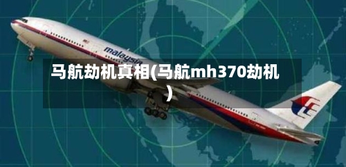 马航劫机真相(马航mh370劫机)-第2张图片