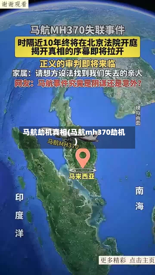 马航劫机真相(马航mh370劫机)-第3张图片