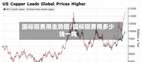 国标铜费用走势图/国标铜费用多少钱一吨-第3张图片