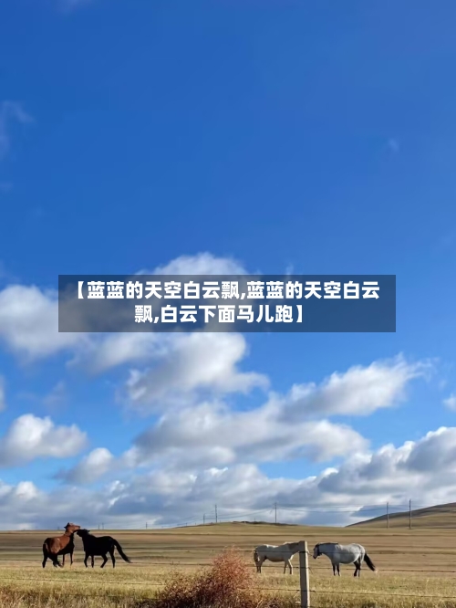【蓝蓝的天空白云飘,蓝蓝的天空白云飘,白云下面马儿跑】
