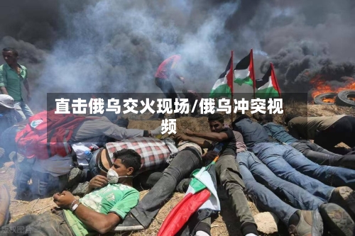 直击俄乌交火现场/俄乌冲突视频-第2张图片
