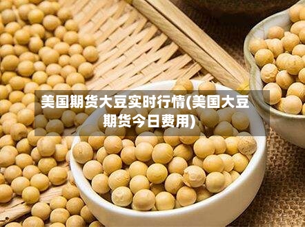美国期货大豆实时行情(美国大豆期货今日费用)