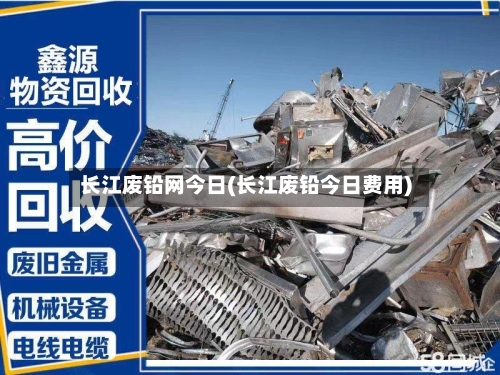 长江废铅网今日(长江废铅今日费用)