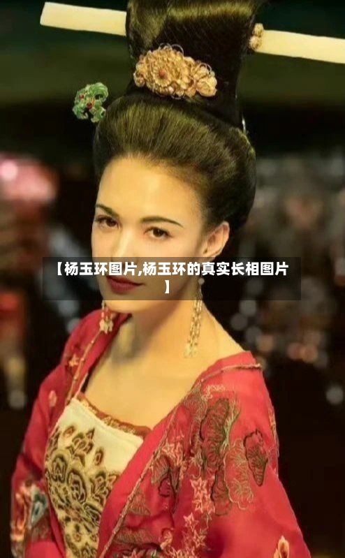 【杨玉环图片,杨玉环的真实长相图片】-第2张图片