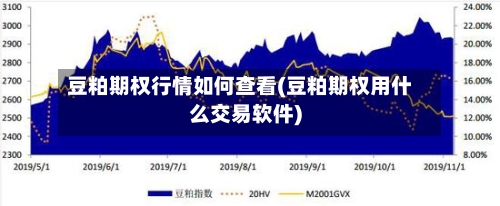 豆粕期权行情如何查看(豆粕期权用什么交易软件)