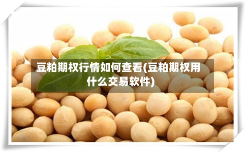 豆粕期权行情如何查看(豆粕期权用什么交易软件)-第2张图片