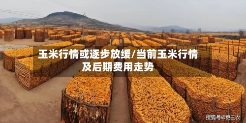 玉米行情或逐步放缓/当前玉米行情及后期费用走势-第3张图片