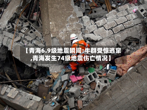 【青海6.9级地震瞬间:牛群受惊逃窜,青海发生74级地震伤亡情况】