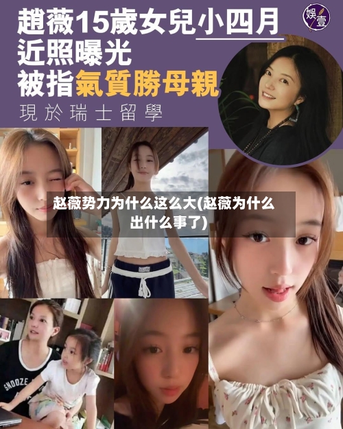 赵薇势力为什么这么大(赵薇为什么出什么事了)-第3张图片