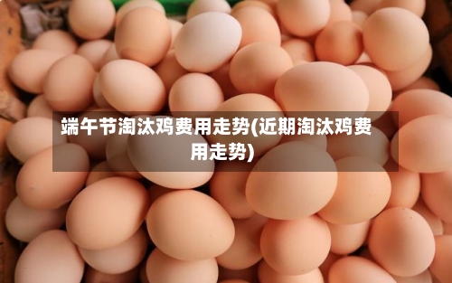 端午节淘汰鸡费用走势(近期淘汰鸡费用走势)-第3张图片