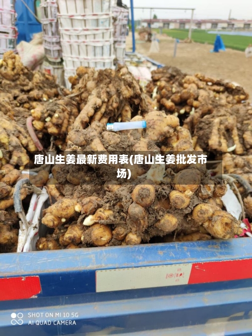 唐山生姜最新费用表(唐山生姜批发市场)-第2张图片