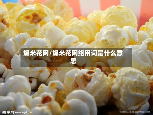 爆米花网/爆米花网络用词是什么意思