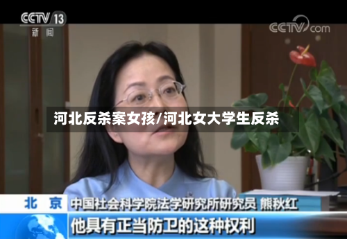 河北反杀案女孩/河北女大学生反杀-第2张图片
