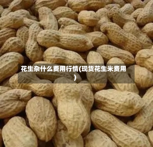 花生杂什么费用行情(现货花生米费用)-第2张图片