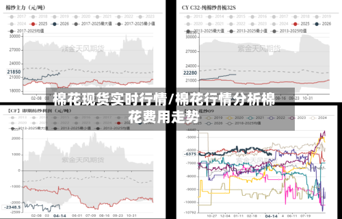 棉花现货实时行情/棉花行情分析棉花费用走势-第3张图片