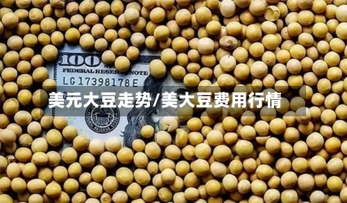美元大豆走势/美大豆费用行情