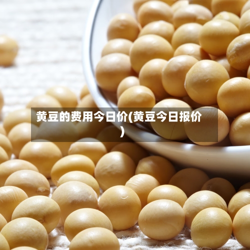 黄豆的费用今日价(黄豆今日报价)-第2张图片